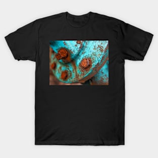 Rusty And Blue photography T-Shirt